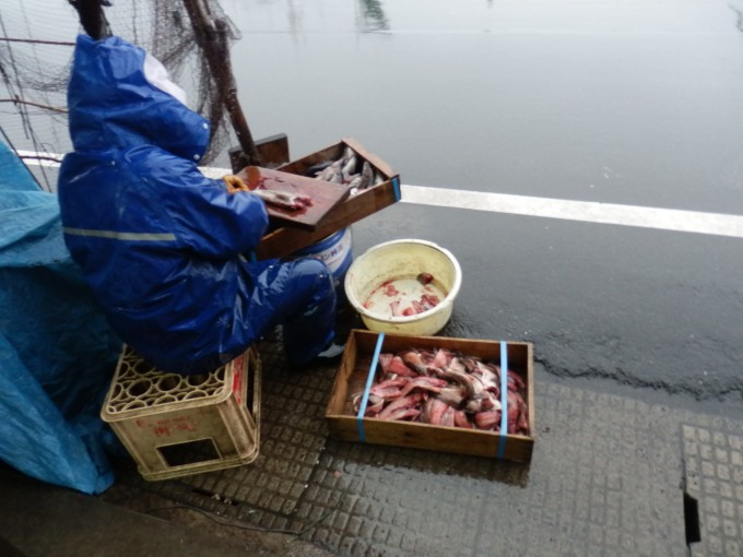 青森県小泊 フォークシンガー三上寛の出身地